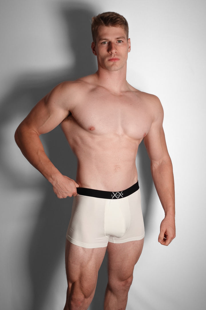 Elegant Brief - 2/4/8 Packs